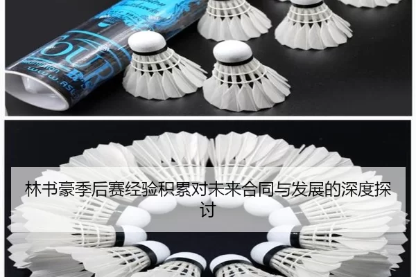 林书豪季后赛经验积累对未来合同与发展的深度探讨