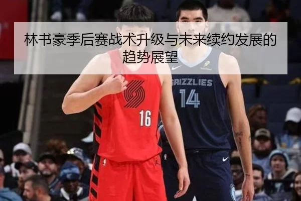 林书豪季后赛战术升级与未来续约发展的趋势展望