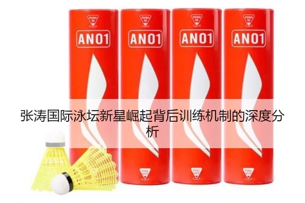 张涛国际泳坛新星崛起背后训练机制的深度分析